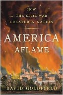 America Aflame by David Goldfield: Book Cover