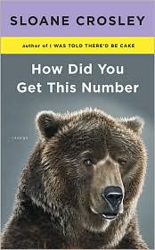 How Did You Get This Number by Sloane Crosley: Book Cover
